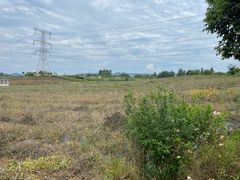 -紫颐香薰山谷景区