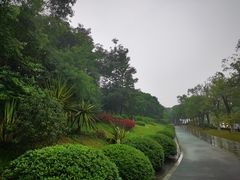 -玉树公园