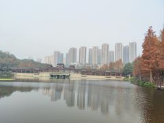 -重庆彩云湖湿地公园