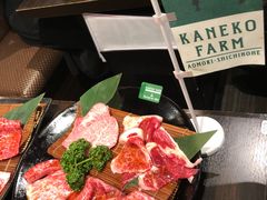 -俺的焼肉(銀座9丁目店)