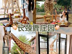 -灵玲国际马戏城