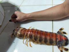 -海盗餐厅