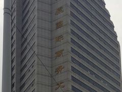 -崔勇假发
