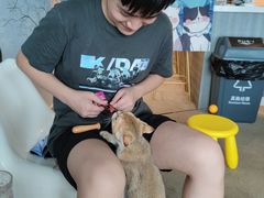 -泰国佛·塔罗·泰牌狐仙古曼