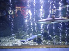 -荆州中山公园动物园