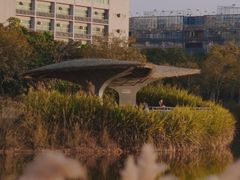 -福田红树林生态公园