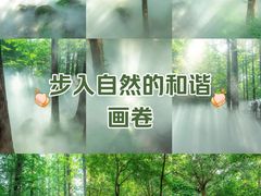 -国家植物园