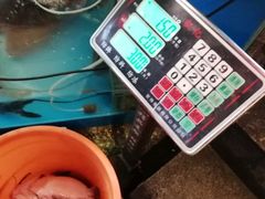 -粗粮人家·东北菜(洋桥店)