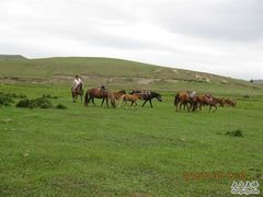 -塞罕坝国家级自然保护区