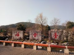 -香雪海