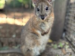 -费瑟代尔野生动物园