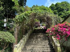 -乌山风景区