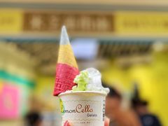 -柠檬车露(卖草地店)