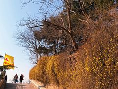 -观象山公园