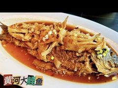 -陕北南泥湾·延安本地菜(人民公园店)