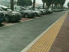 -醉美东江·三文鱼·烧鸡公