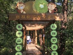 -大岭沟猕猴桃谷风景区
