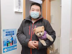-关爱宠物医院·猫科中心·消化科(滨湖万达分院)