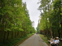 -上海长兴岛郊野公园