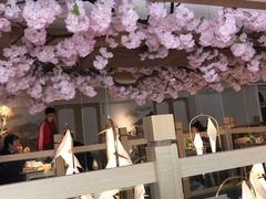 -兔行天下-鸿鹤鲜锅兔(中海国际店)