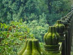 -南山植物园