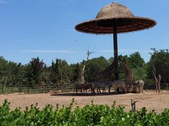 -济南野生动物世界