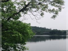 -广东花都湖国家湿地公园