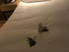 -半岛星际酒店(义乌国际商贸城店)