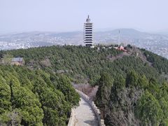 -原山国家森林公园