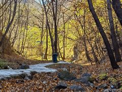 -玉渡山自然风景区