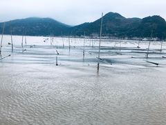 -北岐滩涂