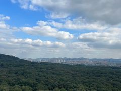 -灵谷景区