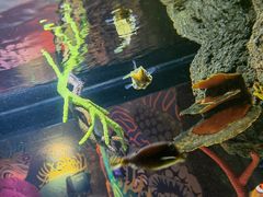 -沈阳海洋探索中心