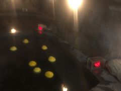 -裕龙汤泉