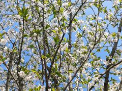 -盘龙城国家考古遗址公园