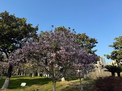 -白塘生态植物园