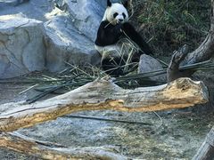 -宁波野生动物园