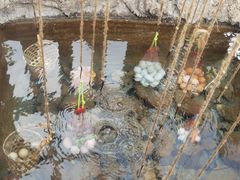 -天芳悦潭度假村温泉