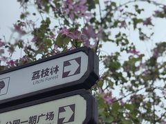 -香山湖公园