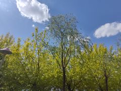 -长白岛森林公园