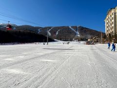 -亚布力新体委滑雪场