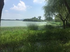 -渤公岛生态公园