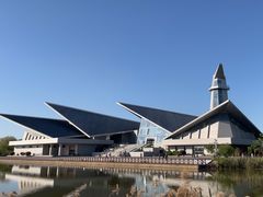 -盐城丹顶鹤湿地生态旅游区