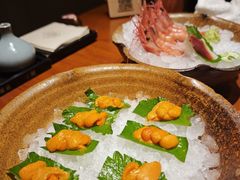 -月龍吟(朝龙汇店)