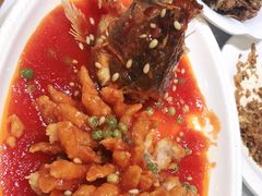 -紫光园·烤鸭·北京菜(劲松店)