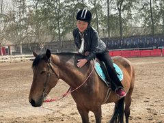 -北京群众马术培训基地