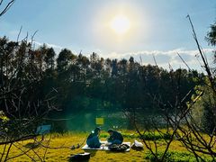 -上海海湾国家森林公园