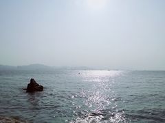 -国际邮轮中心码头(厦鼓码头)