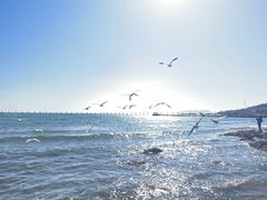 -青岛第二海水浴场