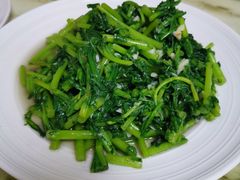 -林之六八·6886大连老菜馆